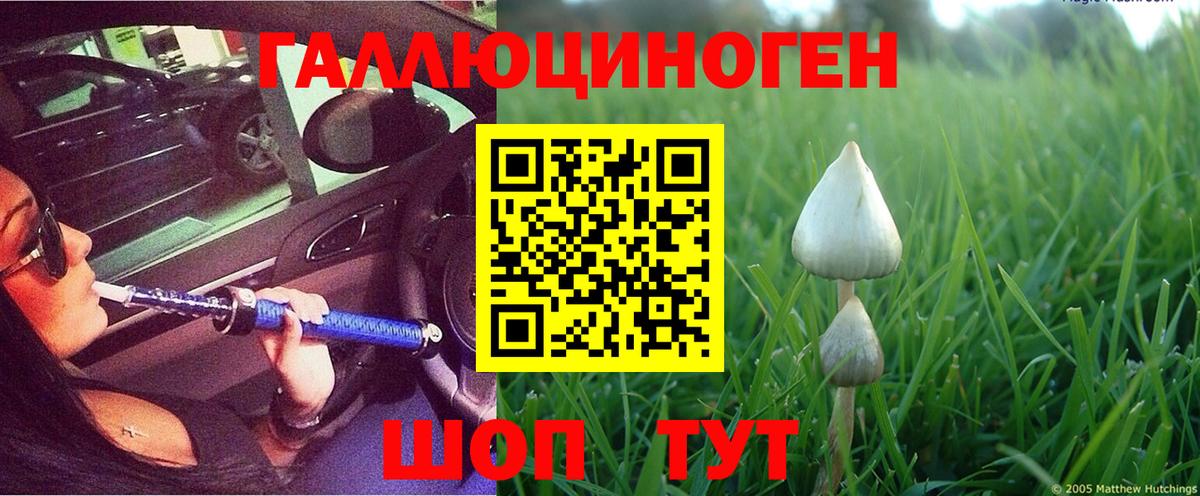 Обь  Псилоцибиновые грибы Psilocybe  Вход с VPN  Галлюциногенные грибы MAGIC MUSHROOMS 